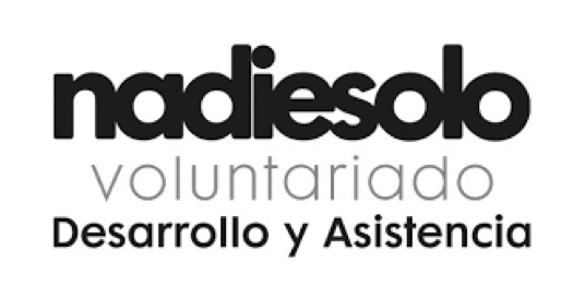 Logo de la organización 'Nadie Solo' que se dedica al voluntariado en desarrollo y asistencia.