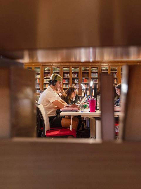 Una vista de grupo de personas trabajando en una biblioteca, observada a través de unas estanterías de libros.