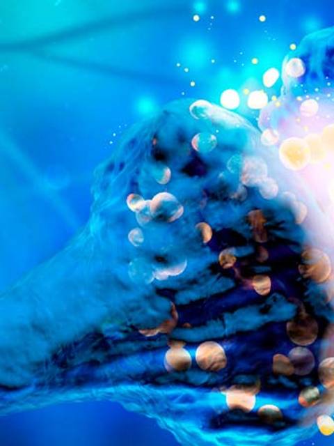 La imagen muestra una representación artística de sinapsis neuronales iluminadas en un fondo azul.