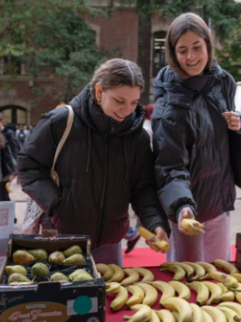 Dos personas están seleccionando frutas en un mercado al aire libre.