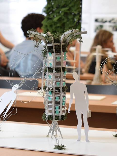 Proyecto de las alumnas Paulina Contreras Gómez y Ariela Schneeweis Garber