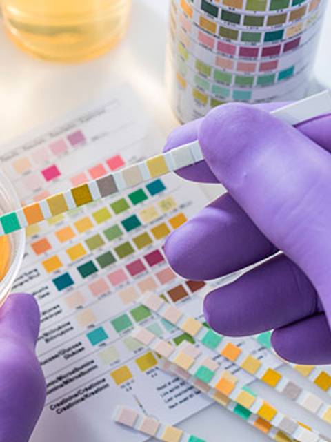 Máster Universitario en Toxicología Clínica y Adicciones 
