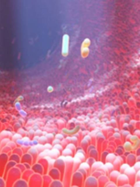 La imagen muestra un entorno microscópico con bacterias y células en un color rojo vibrante.