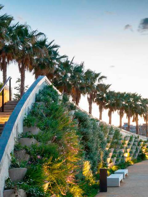 Parque Central., Valencia