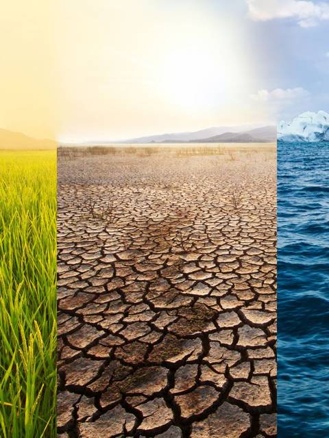 Programa Executive en Gestión del Riesgo Climático
