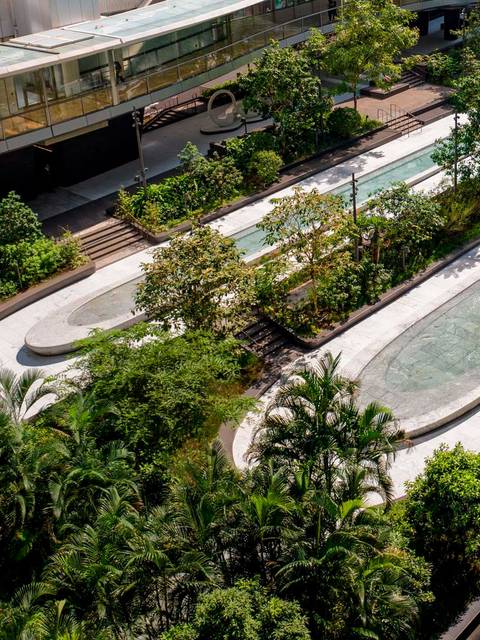 Vista aérea de un espacio verde con caminos y jardines en un entorno urbano.