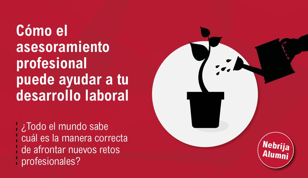 Cómo el asesoramiento profesional puede ayudar a tu desarrollo laboral