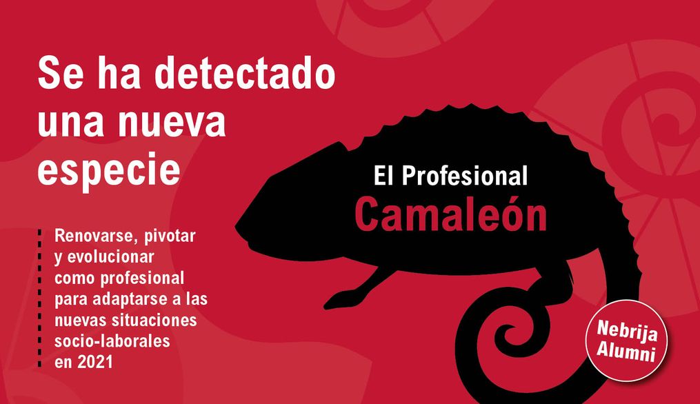 Nueva especie a la vista en 2021, el camaleón profesional
