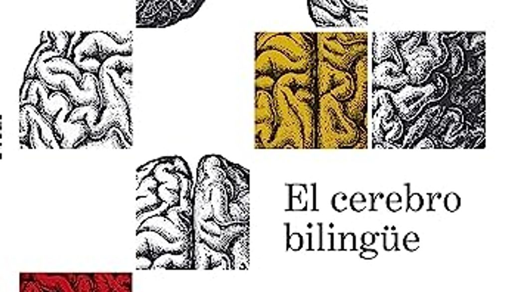 El cerebro bilingüe: la neurociencia del lenguaje