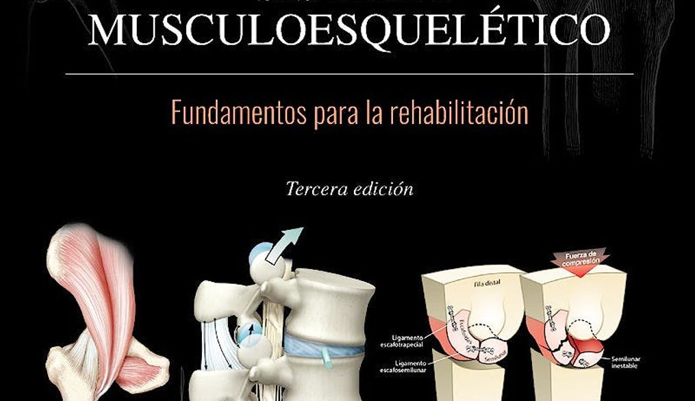 Cinesiología del sistema musculoesquelético