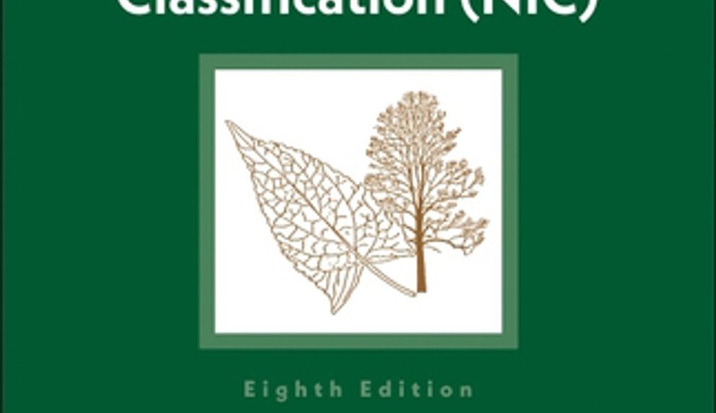 Reseña. Clasificación de Intervenciones de Enfermería (NIC)