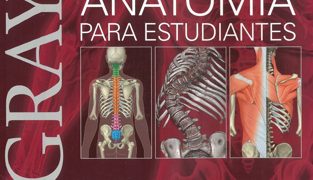 Reseña. Gray. Anatomía para estudiantes