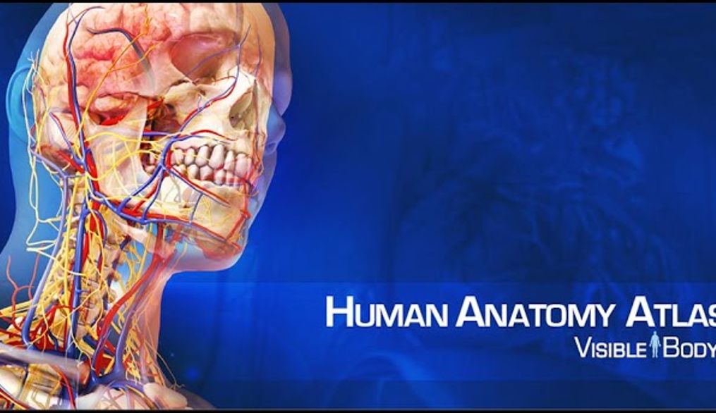 Nuevo recurso en línea Human Anatomy Atlas