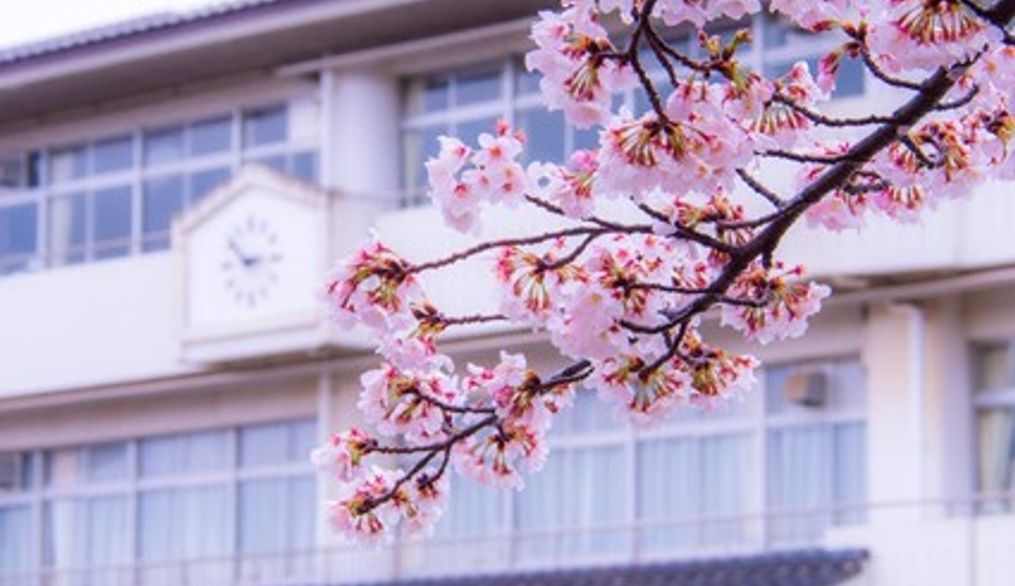 Transición ecológica en la escuela: educación, edificios y entornos escolares
