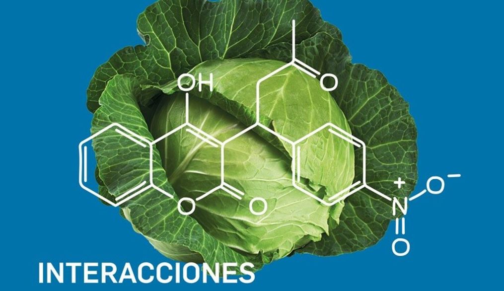 Interacciones entre alimentos y medicamentos