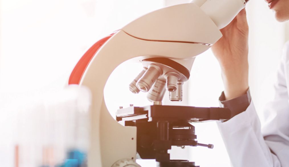 Introducción a la metodología de investigación Biosanitaria