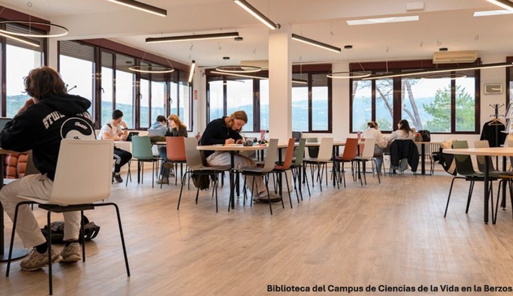 Noticia. En enero, el Servicio de Biblioteca recomienda…
