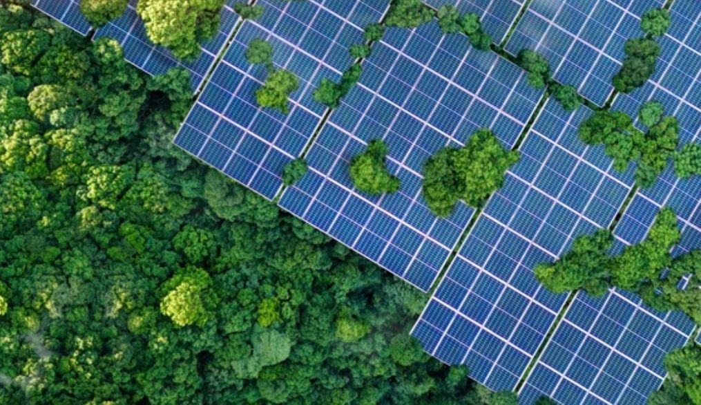 La Universidad Nebrija y ENGIE obtienen un premio Sustainability Action