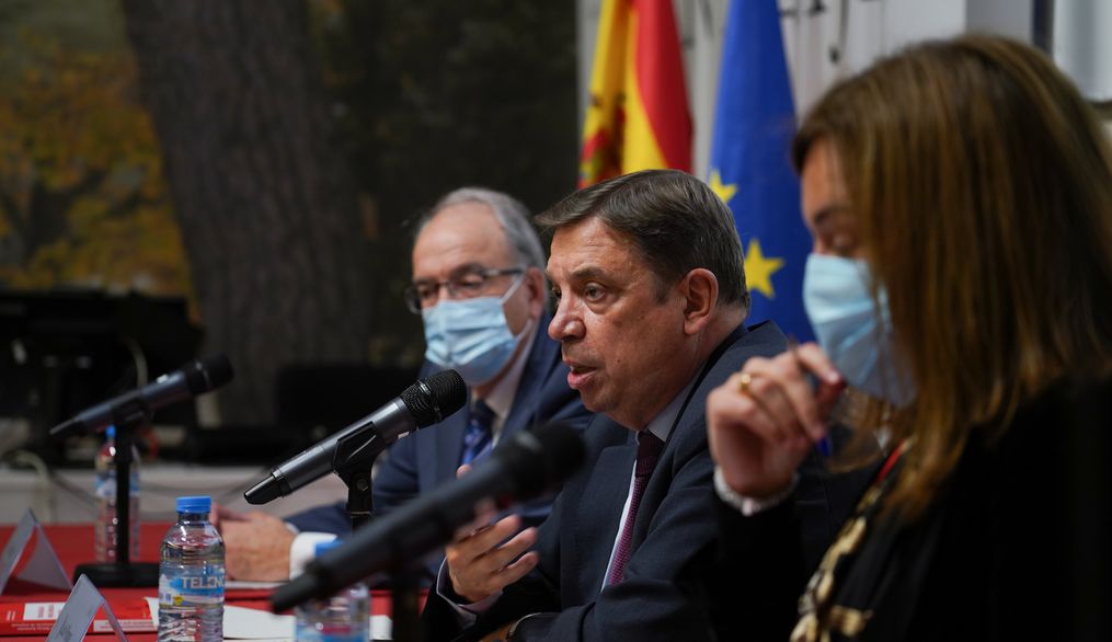 España es ya el cuarto exportador agroalimentario de la Unión Europea y el octavo del mundo