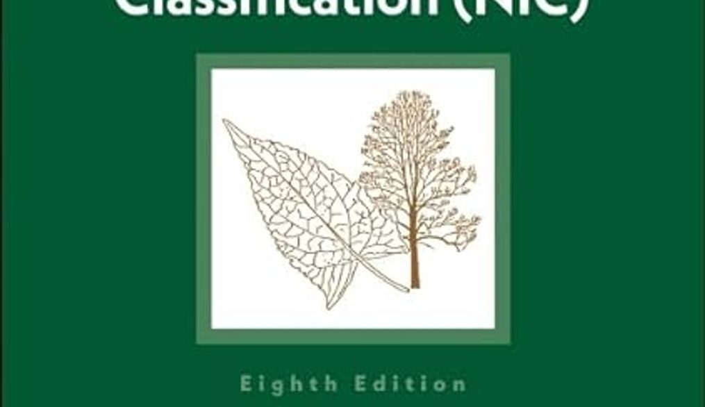 Reseña. Nursing Interventions Classification (NIC)