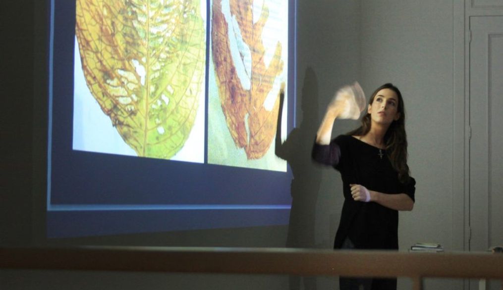 Creatividad y proyectos de las alumnas de 3º de Bellas Artes