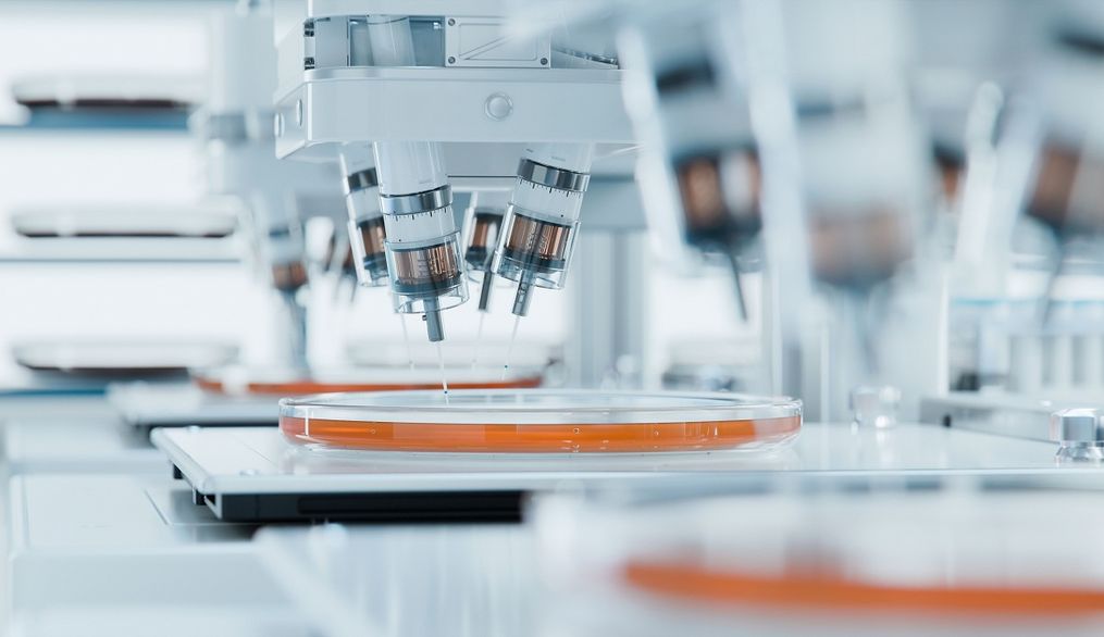3D-printed grafts: shaping the future of bone and tissue regeneration
