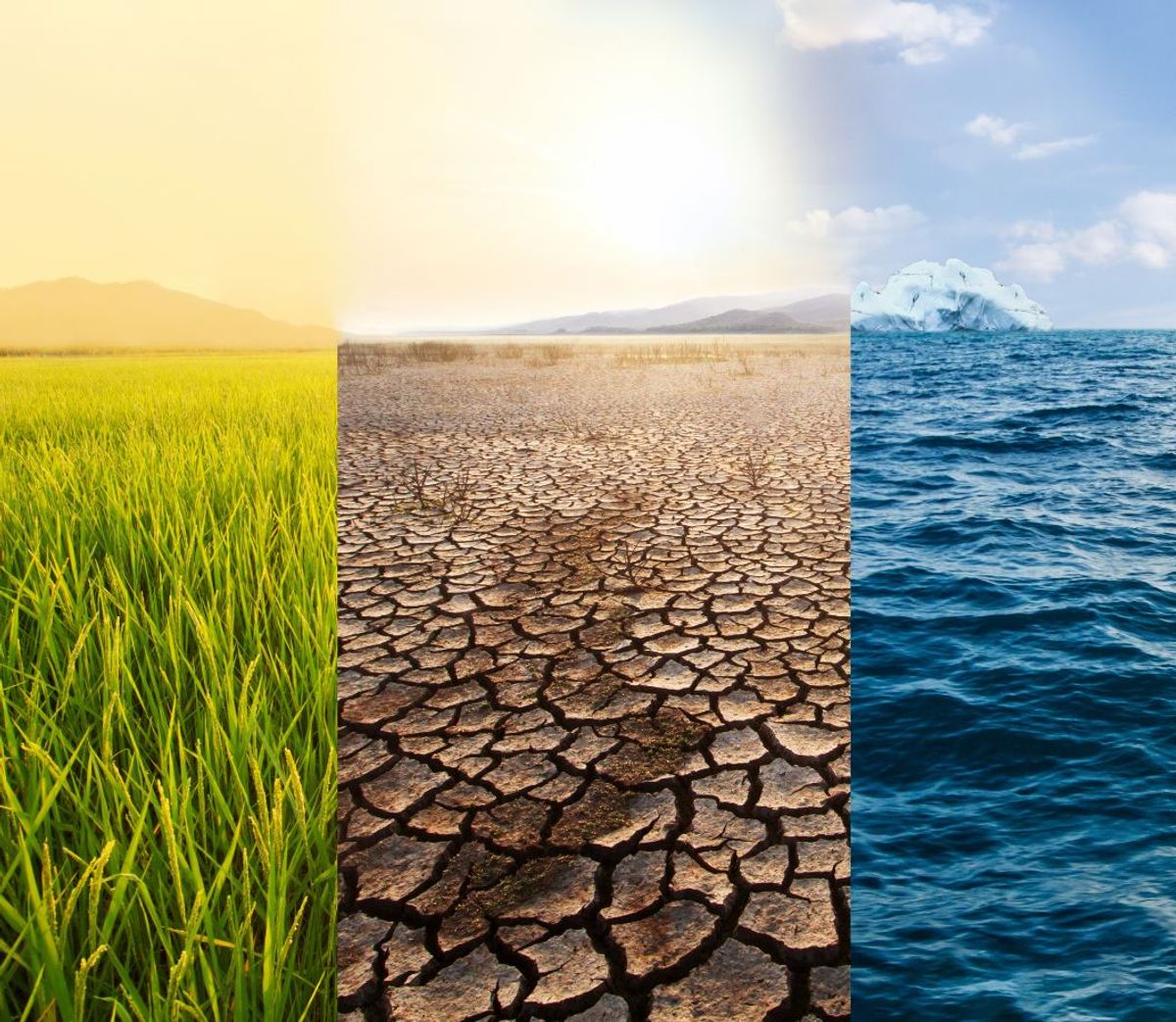 Programa Executive en Gestión del Riesgo Climático