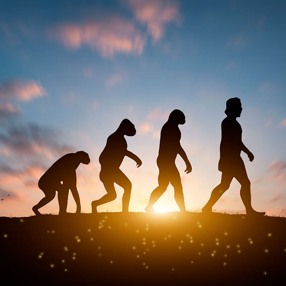 Seminario en El Ser Humano como Organismo: la evolución por medio de la adaptación biológica y cultural