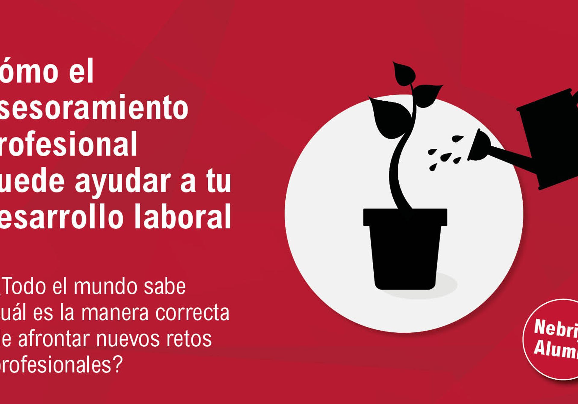 Cómo el asesoramiento profesional puede ayudar a tu desarrollo laboral