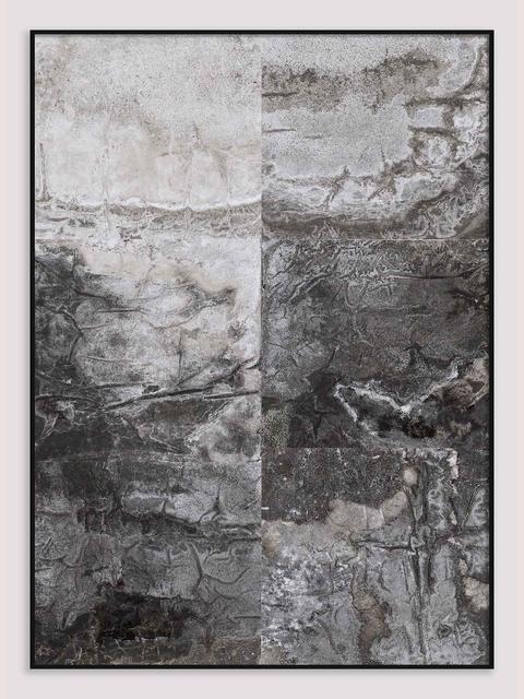 Una obra de arte abstracta en tonos grises y negros, con texturas variadas y patrones orgánicos.