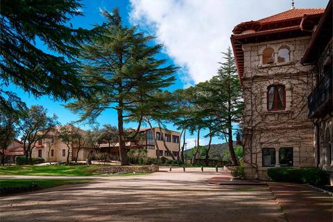 Vista de un paisaje con árboles y edificios en un entorno tranquilo.