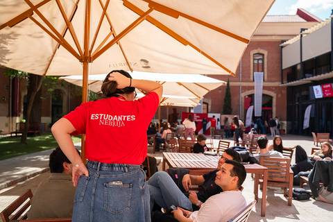 Un grupo de estudiantes se encuentra en un espacio al aire libre disfrutando de un día soleado.