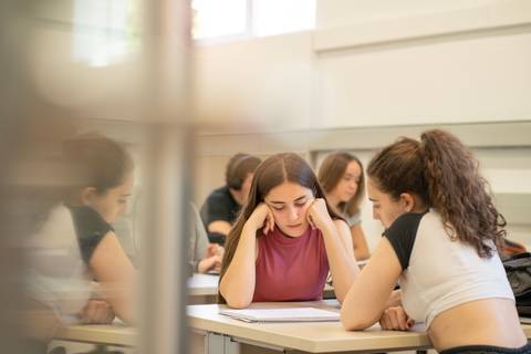Un grupo de estudiantes concentrados en sus estudios en un aula.