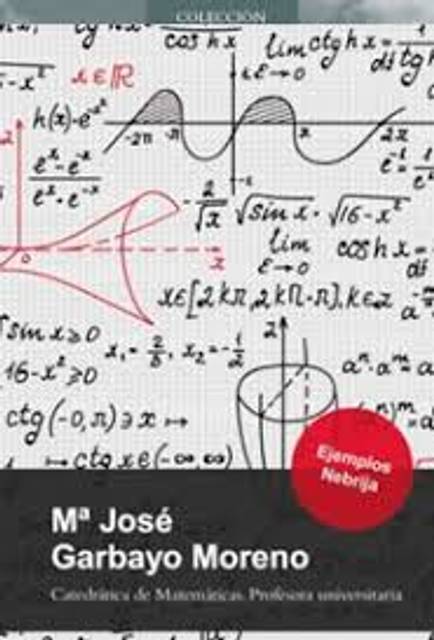 El libro presenta conceptos matemáticos acompañado de gráficos y ejemplos.