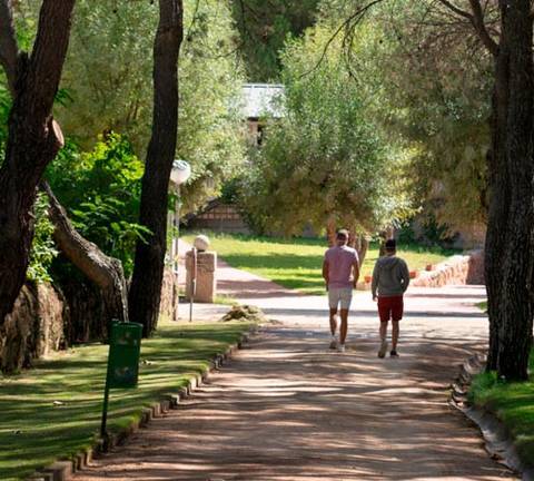Dos personas caminan por un sendero rodeado de árboles en un ambiente natural.