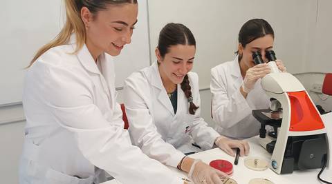 Tres mujeres científicas trabajan en un laboratorio realizando experimentos con un microscopio y cultivos en placas.