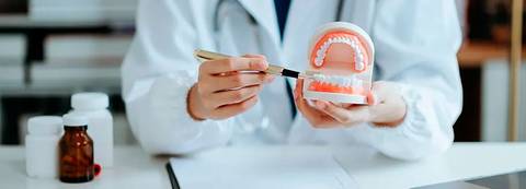 Grado en Odontología - Modelo dental