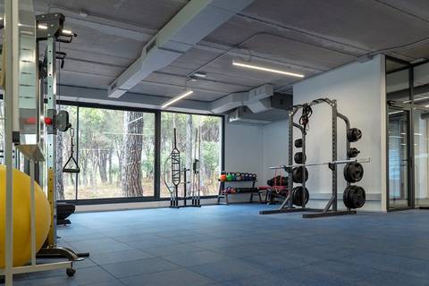 Una vista amplia de un gimnasio moderno con equipos de ejercicio y ventanas que permiten la entrada de luz natural.