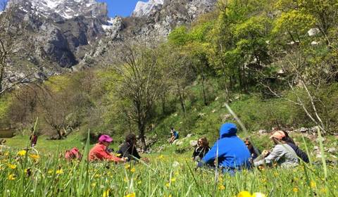 Un grupo de personas se encuentra disfrutando de un día soleado en un paisaje montañoso con prados verdes y flores amarillas.