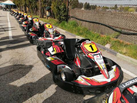 Una fila de karts deportivos estacionados en un circuito.