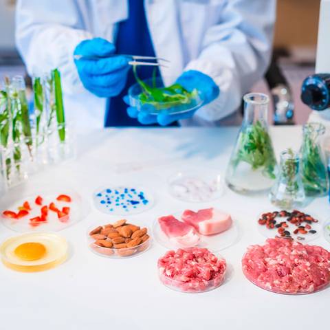 Máster Universitario en Toxicología Clínica y Adicciones 