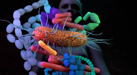 La imagen muestra una representación artística de microorganismos en el cuerpo humano.