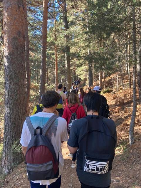 Un grupo de personas camina por un sendero en un bosque de pinos.