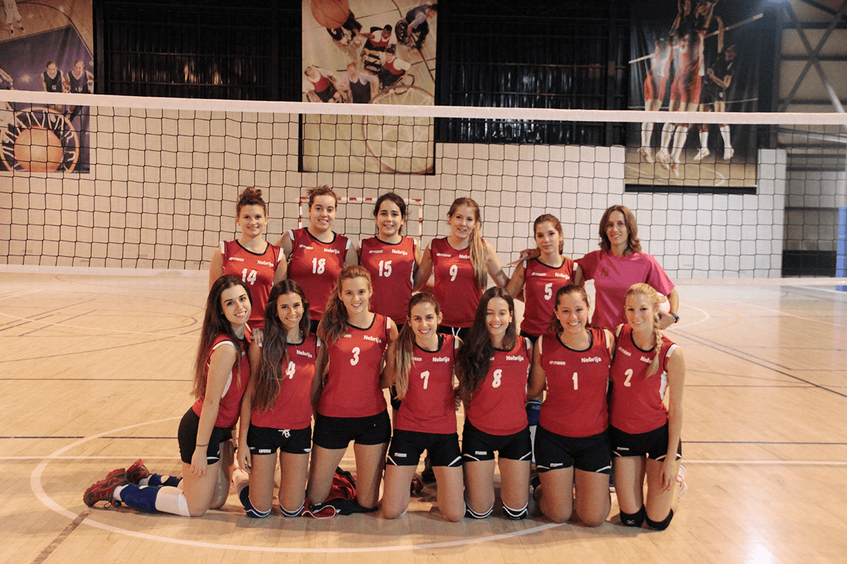 Voleibol Nebrija